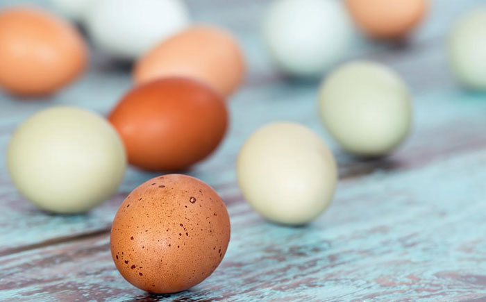 金寨農(nóng)村土雞蛋